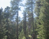 IMG_3450