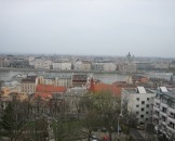 IMG_3709