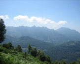 IMG_3810