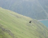 IMG_3886