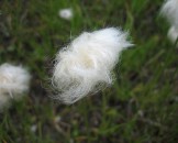 IMG_3913