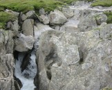 IMG_3919