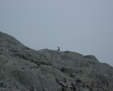 IMG_3969