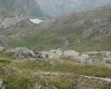 IMG_3979