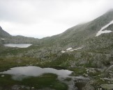 IMG_3981