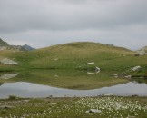 IMG_3986