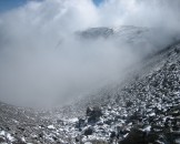 IMG_4479