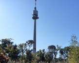 P1000048