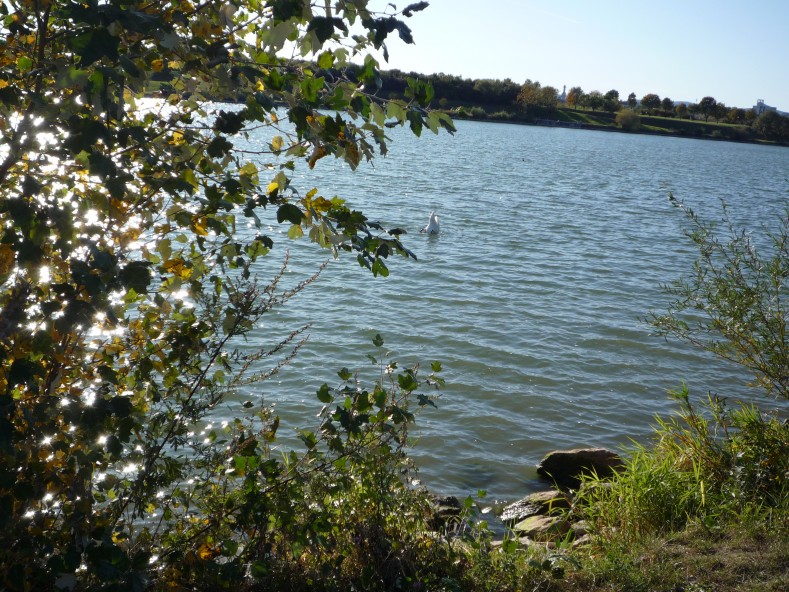 P1000072