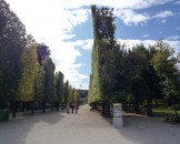 P1000093