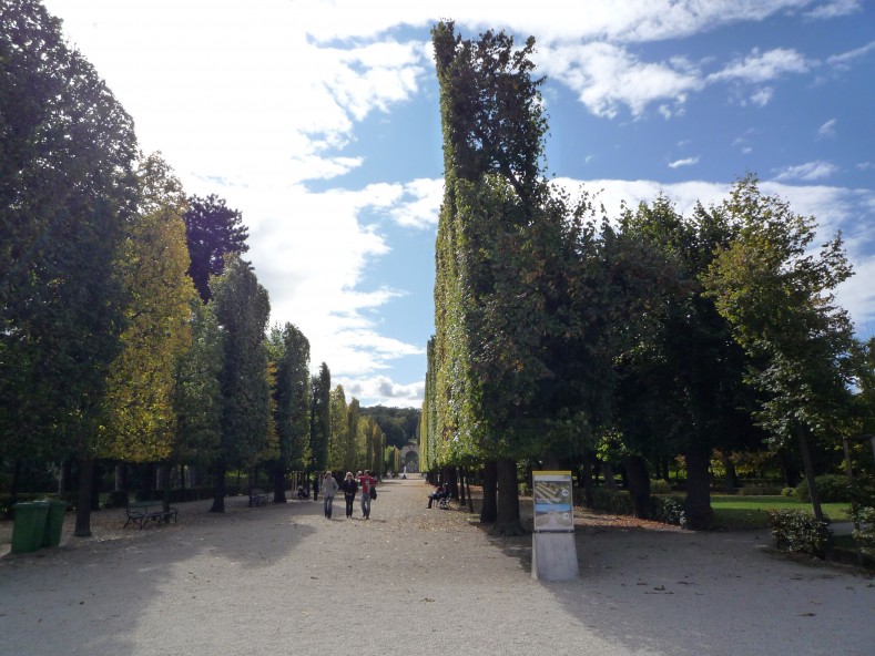P1000093