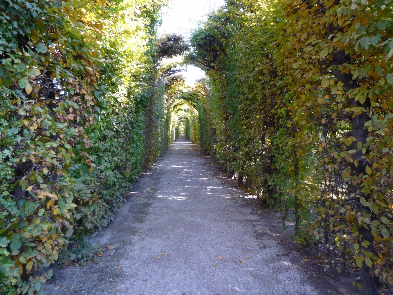 P1000137