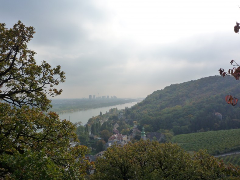 P1000226
