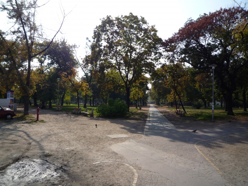 P1000263