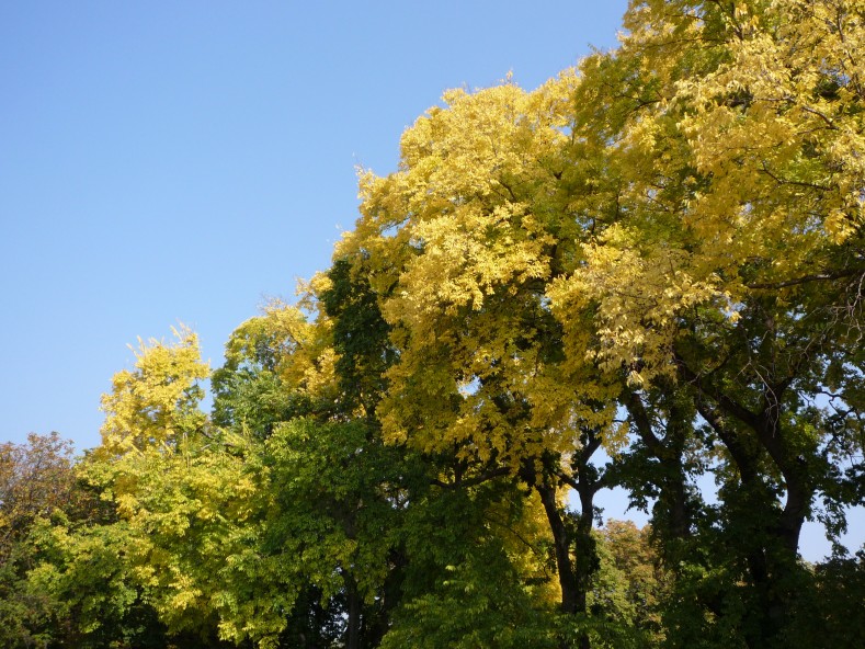 P1000265