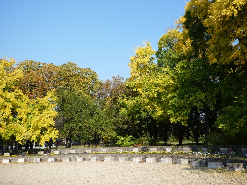 P1000266