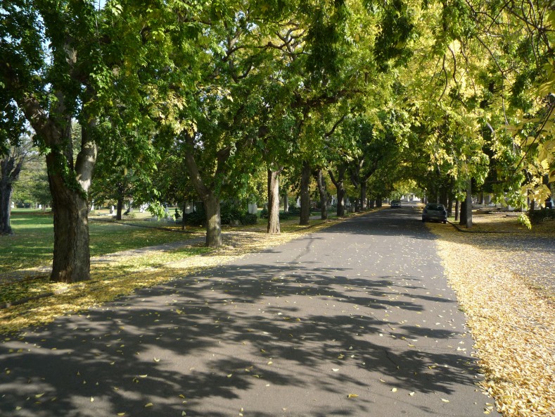 P1000267