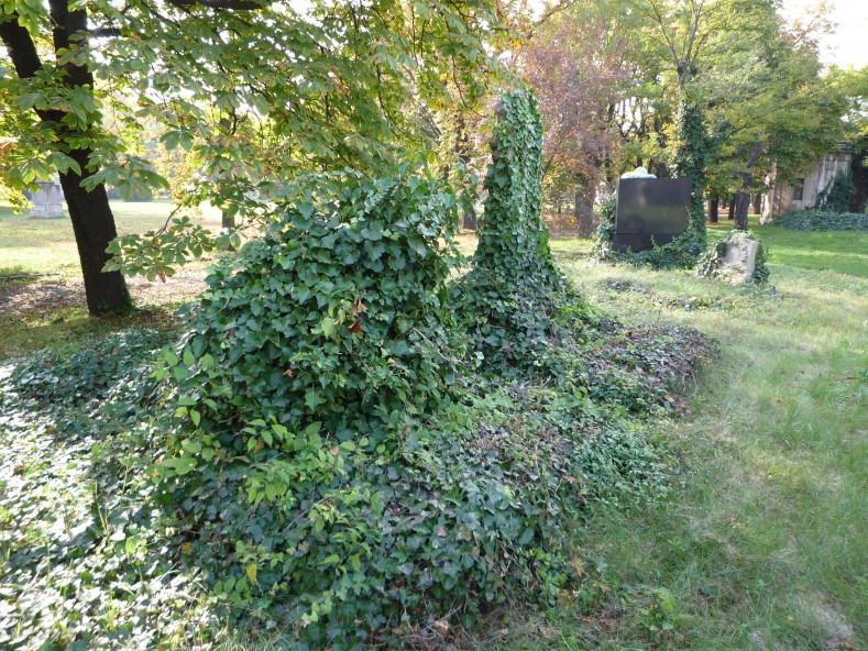 P1000269