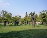 P1000271