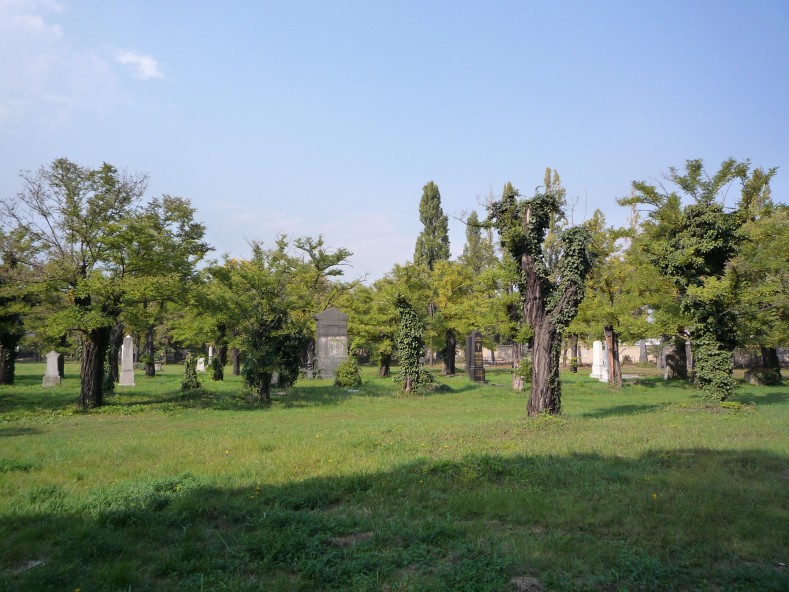 P1000271