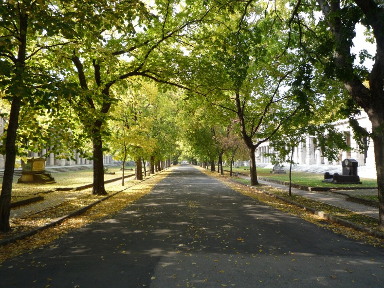P1000273