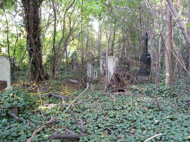 P1000280