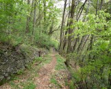 P1000335