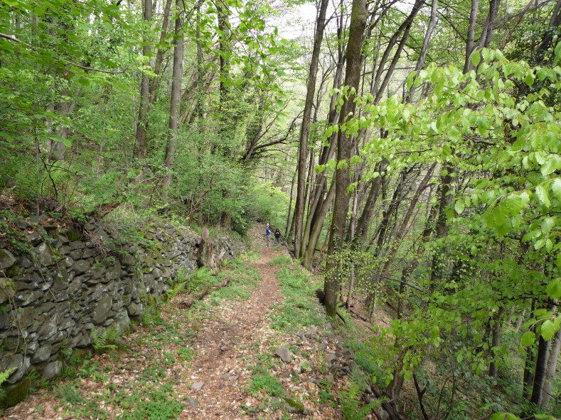 P1000335