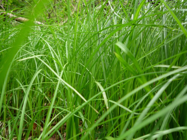 P1000357