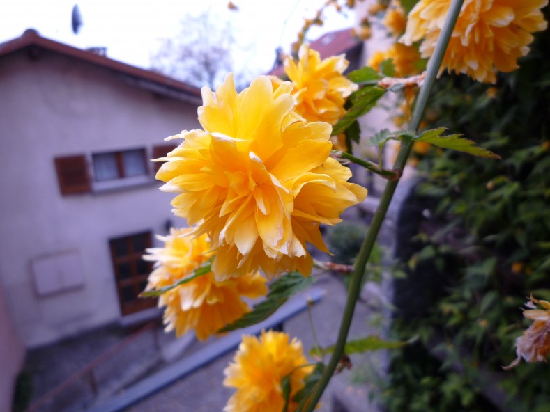 P1000359