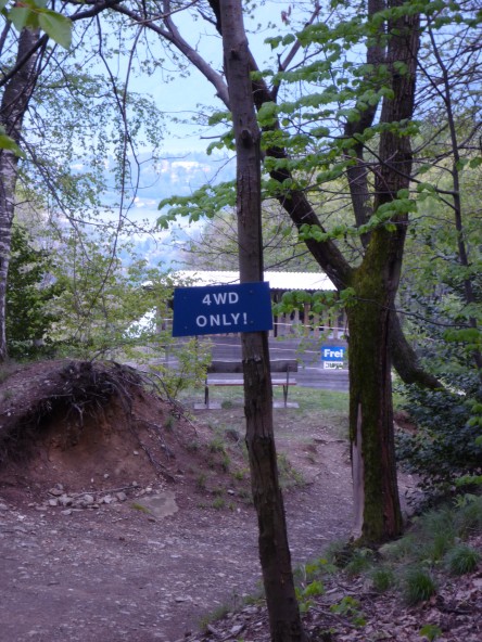 P1000364