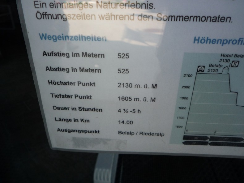 P1000381