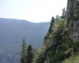 P1000409