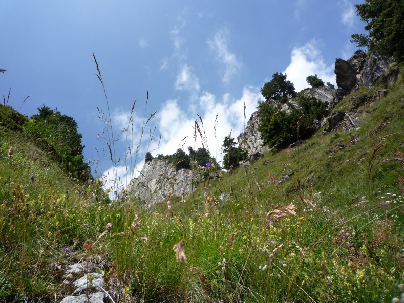 P1000410