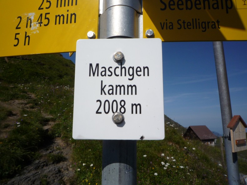 P1000472