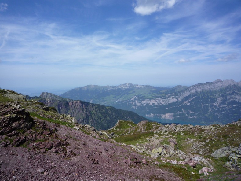 P1000490