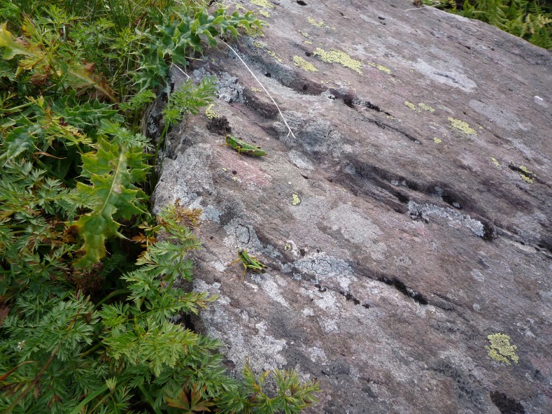 P1000496