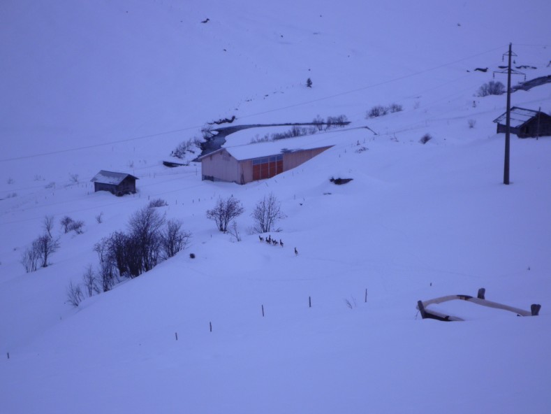P1000553