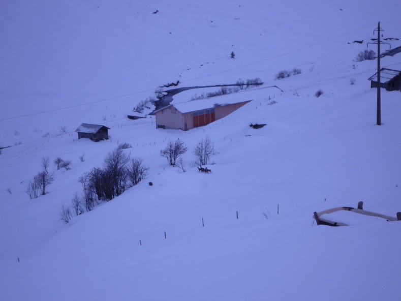 P1000554