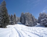 P1000593