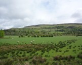 UK2010014