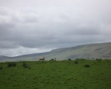 UK2010016