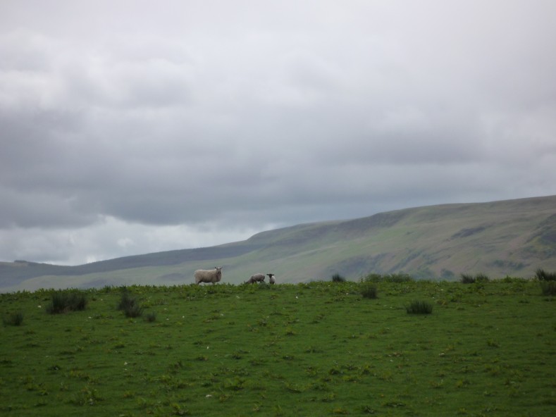 UK2010016