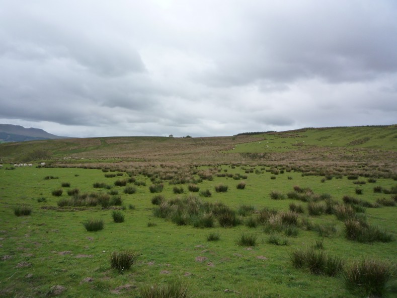 UK2010017