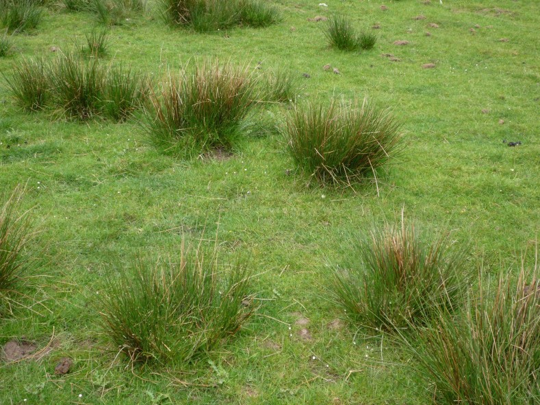 UK2010018