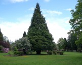 UK2010045