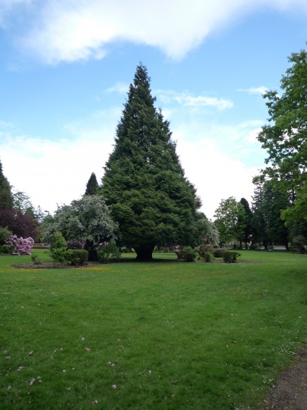 UK2010045