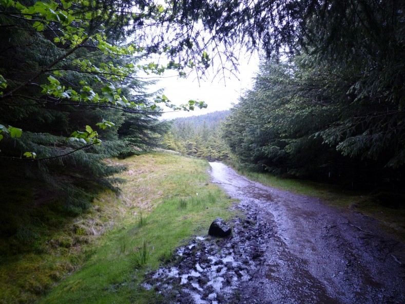 UK2010054