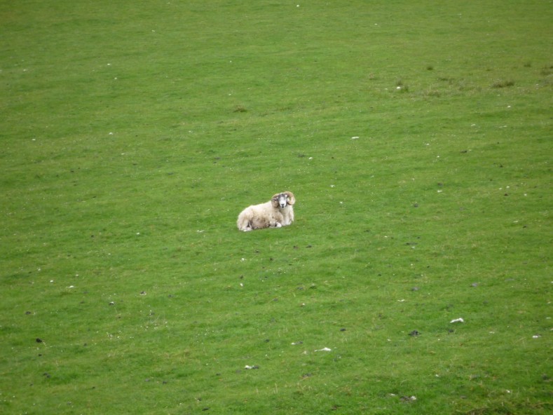 UK2010069