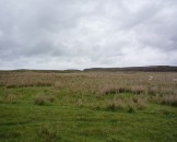 UK2010071